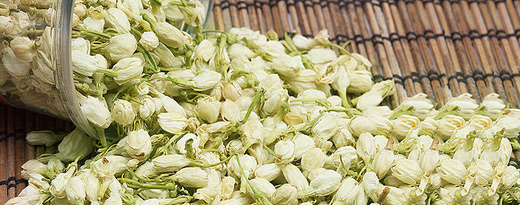 茉莉花