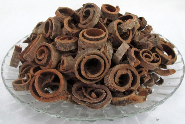 厚樸