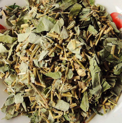 金錢(qián)草(大葉)