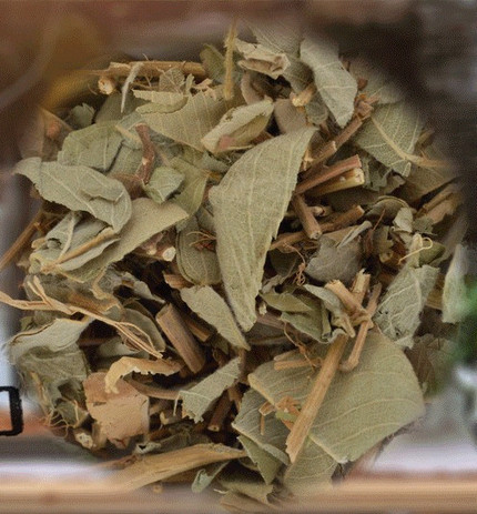 金錢(qián)草(大葉)