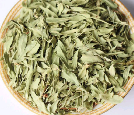 羅布麻葉